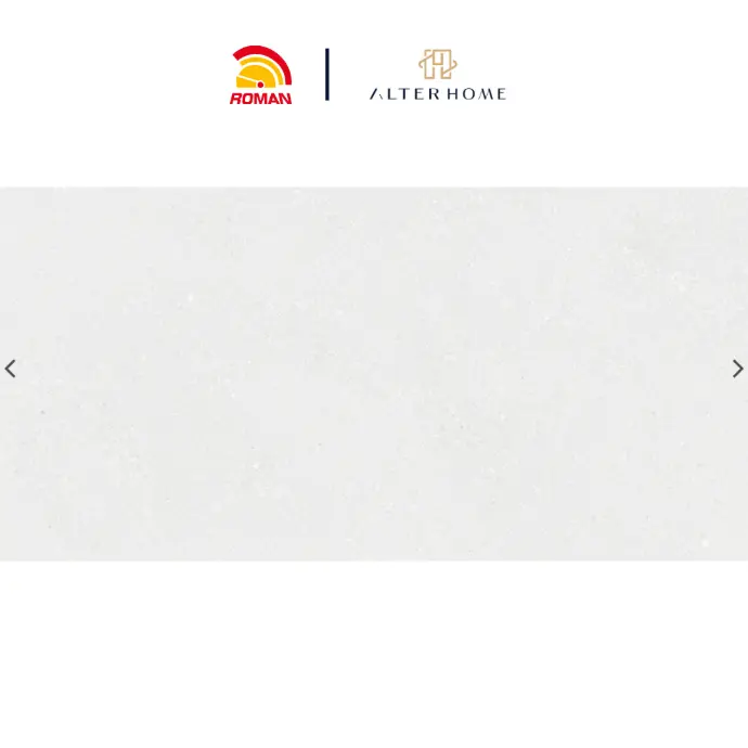 ROMAN - GT 1269870FR D HONDURAS