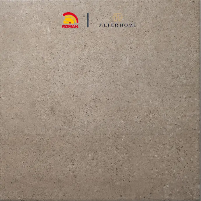 ROMAN - GT 332509R D MINNESOTA