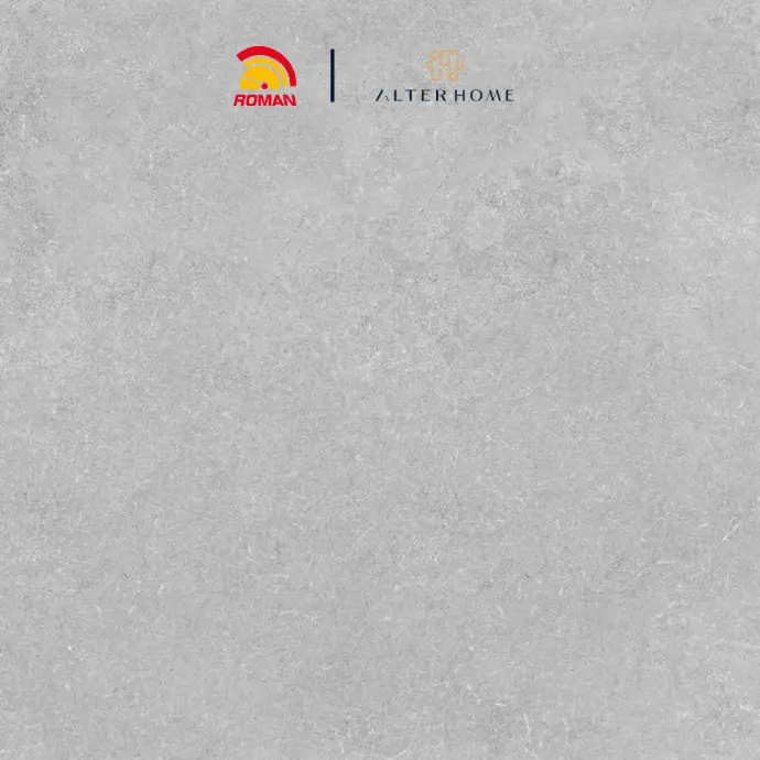 ROMAN - GT 602057R D PICCADILLY