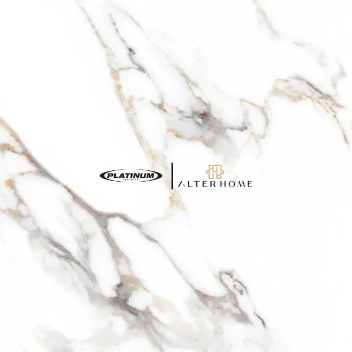 PLATINUM - SEINE REC GLOSSY