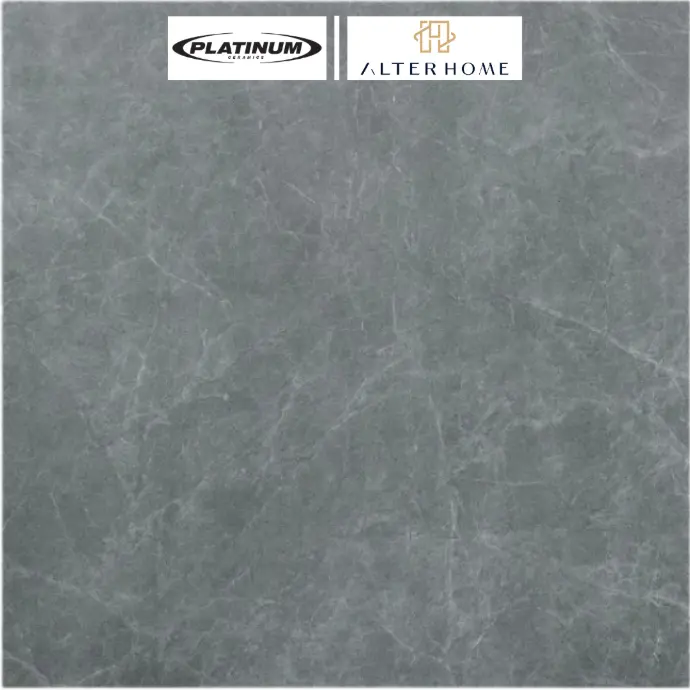  PLATINUM - STACY REC