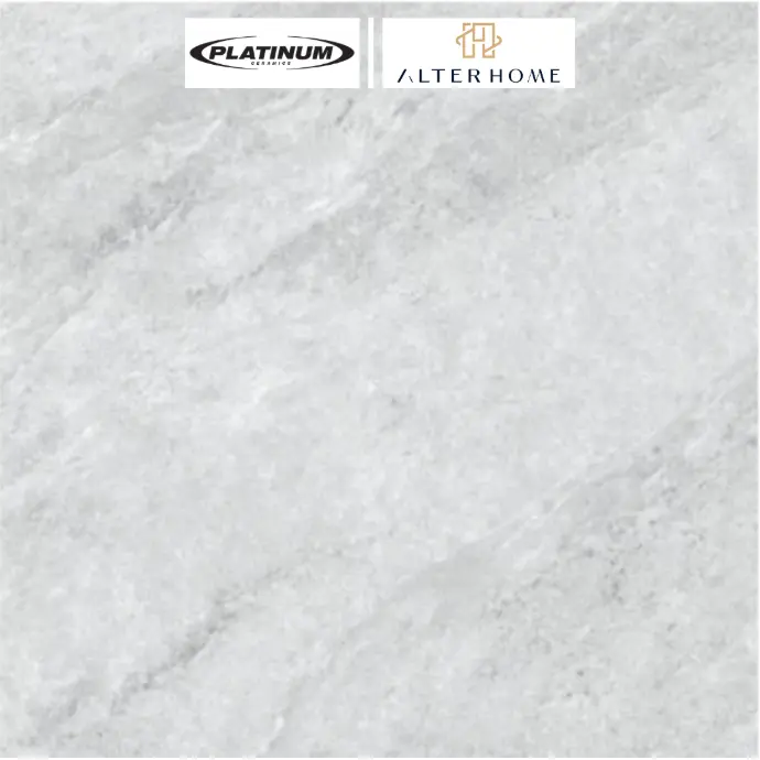 PLATINUM - LARSEN REC