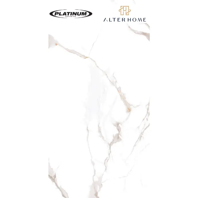 PLATINUM - TAVERN GREY REC