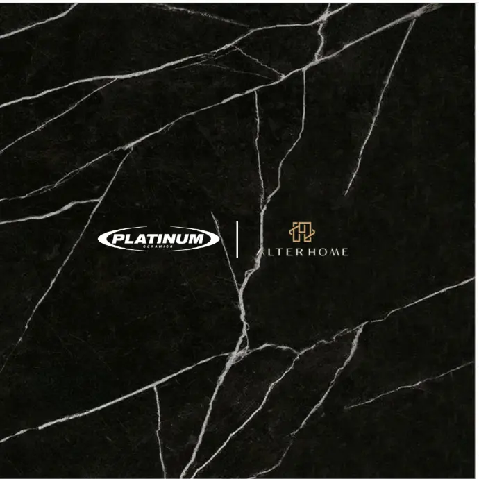 PLATINUM - LORENZO REC