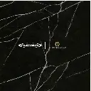 PLATINUM - LORENZO REC