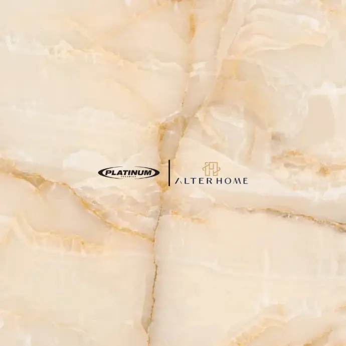 PLATINUM - SALVATORE REC