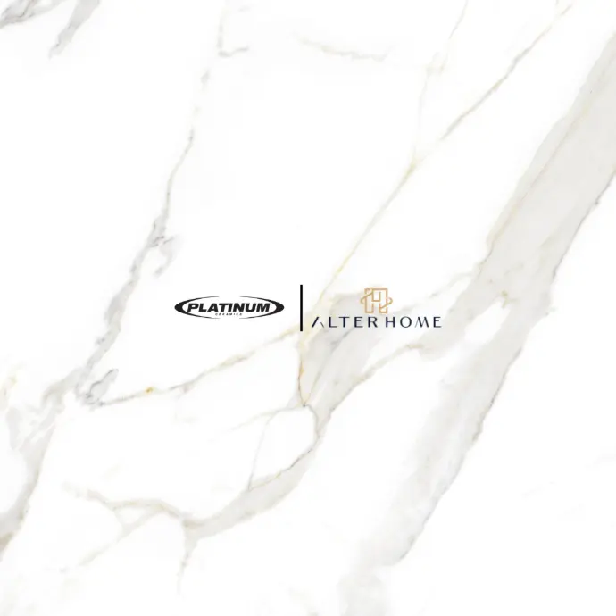 PLATINUM - SHELDON REC