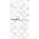 PLATINUM - TOLEDO EMBOSSED REC