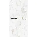 PLATINUM - TRACY EMBOSSED REC