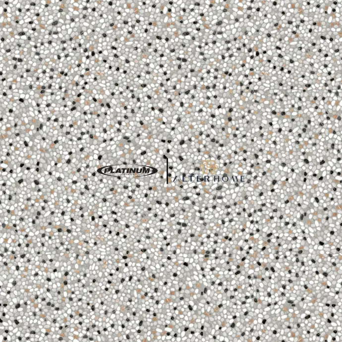PLATINUM - SIMMONS REC