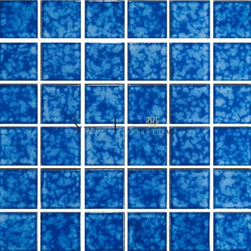 SINGRES - THALASSA GLOSSY
