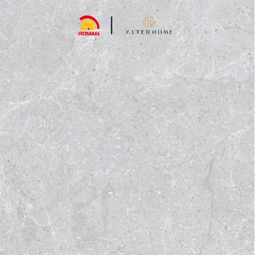 [KER-ROM-00843] ROMAN - G 330800 D LASTRICO