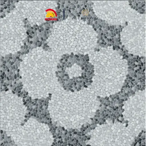 [KER-ROM-00892] ROMAN - G 440871 D VARANDA