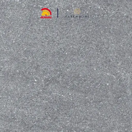 [KER-ROM-00941] ROMAN - G 477513 D LOGAN