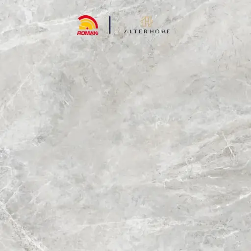 [GRA-ROM-00001] ROMAN - GT 1009441FR D DURHAM