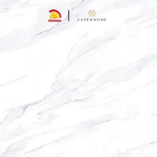 [GRA-ROM-00002] ROMAN - GT 1009442FR D LANCASTER