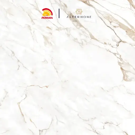 [GRA-ROM-00003] ROMAN - GT 1009443FR D VILLADESTE