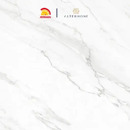 [GRA-ROM-00004] ROMAN - GT 1009444FR D TREVI