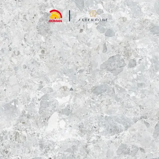 [GRA-ROM-00005] ROMAN - GT 1009446FR D CLEMO