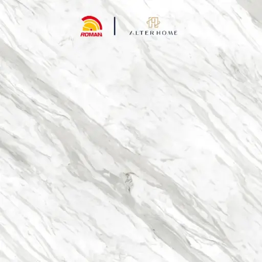 [GRA-ROM-00008] ROMAN - GT 1009454FR D VASA