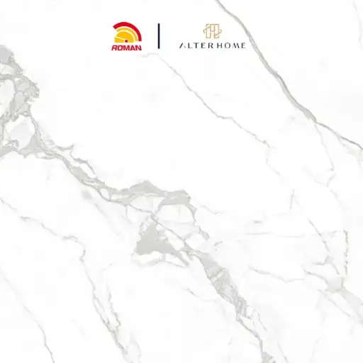 [GRA-ROM-00009] ROMAN - GT 1009455FR D FARSETTI