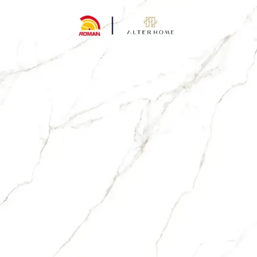 [GRA-ROM-00010] ROMAN - GT 1009459FR D SIGNORIA