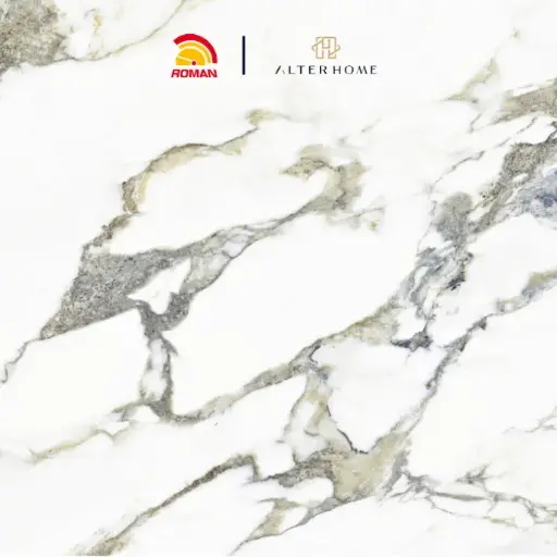 [GRA-ROM-00011] ROMAN - GT 1009468FR D ORCHID