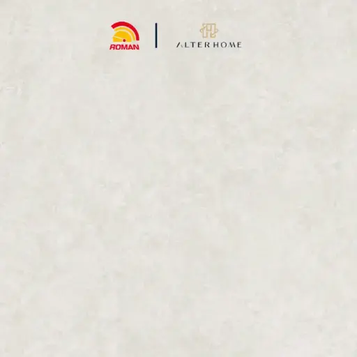 [GRA-ROM-00012] ROMAN - GT 1009492FR D FORATO