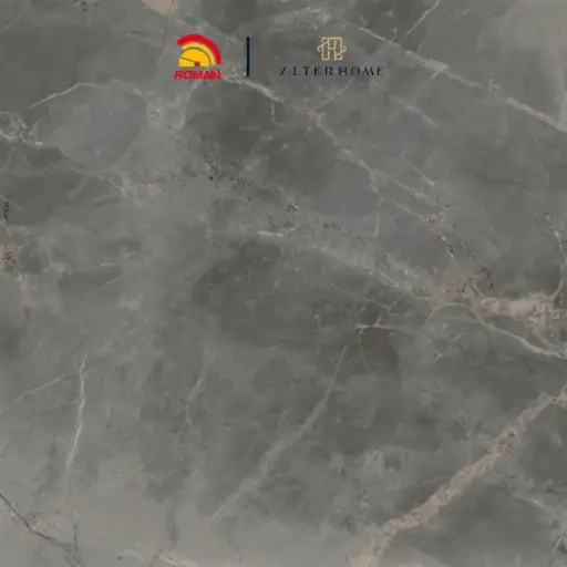 [GRA-ROM-00013] ROMAN - GT 1009493FR D FIORDIBOSCO