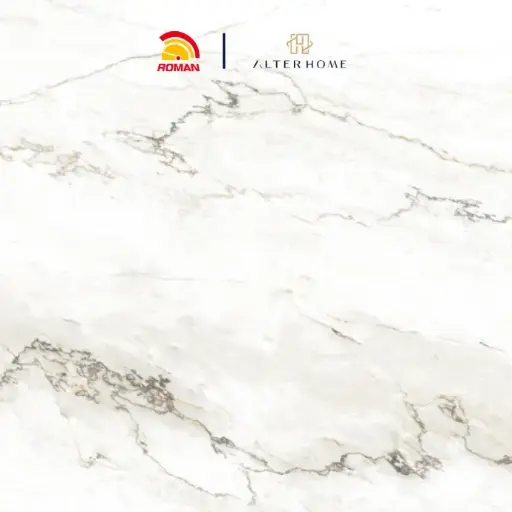 [GRA-ROM-00014] ROMAN - GT 1009504FR D PICASSO