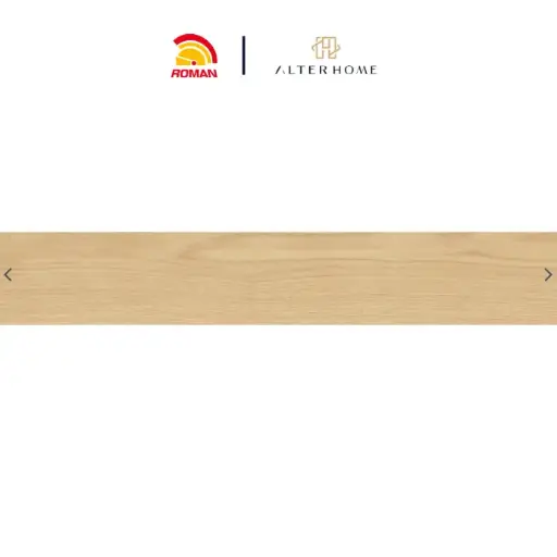 [GRA-ROM-00034] ROMAN - GT 1225519R D CHALLIS