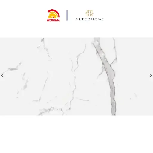 [GRA-ROM-00047] ROMAN - GT 1262017R D PALAIS