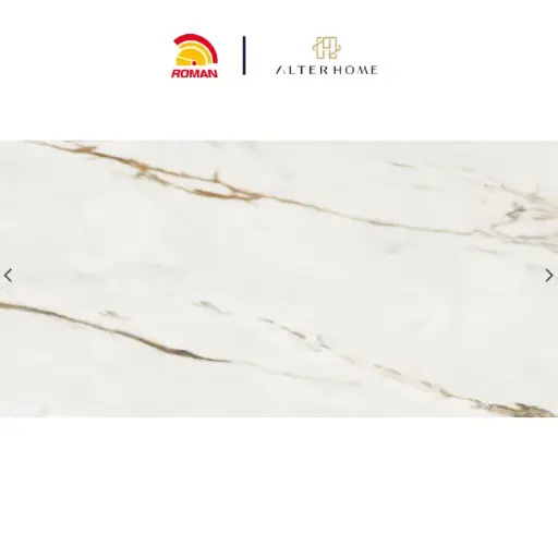 [GRA-ROM-00086] ROMAN - GT 1269481FR D MATARAZZO