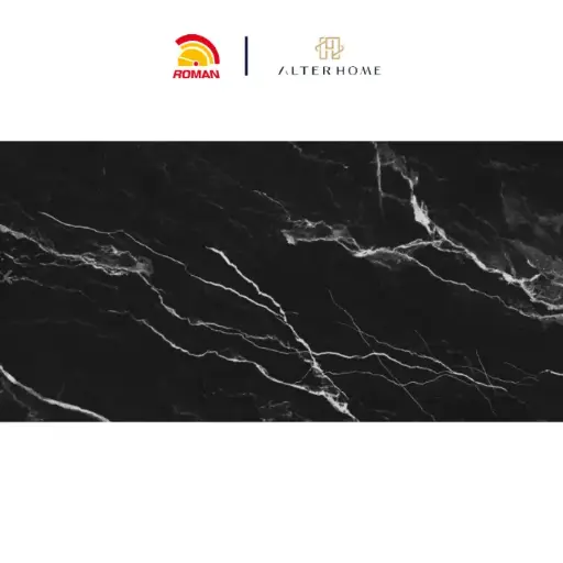 [GRA-ROM-00088] ROMAN - GT 1269484FR D VANTA