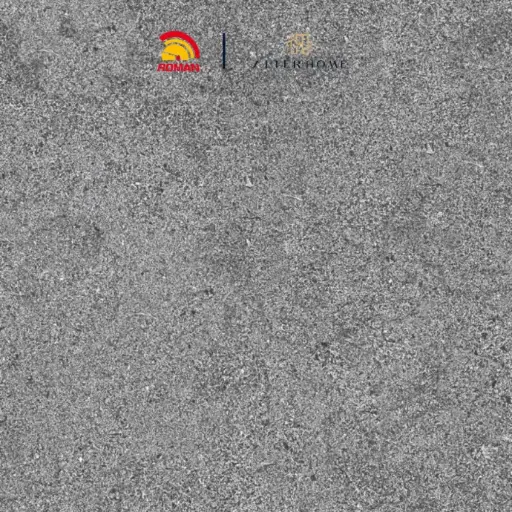 [GRA-ROM-00111] ROMAN - GT 332503R D HAKODATE