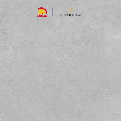 [GRA-ROM-00127] ROMAN - GT 602057R D PICCADILLY