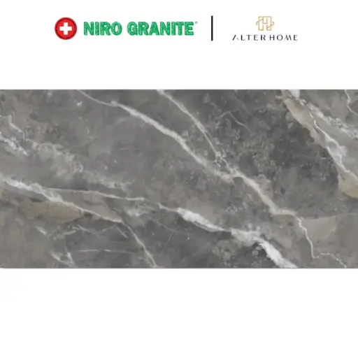 [GRA-NIRO-00003] NIRO -  CONTINUEZA GCI08 MAXIMUS