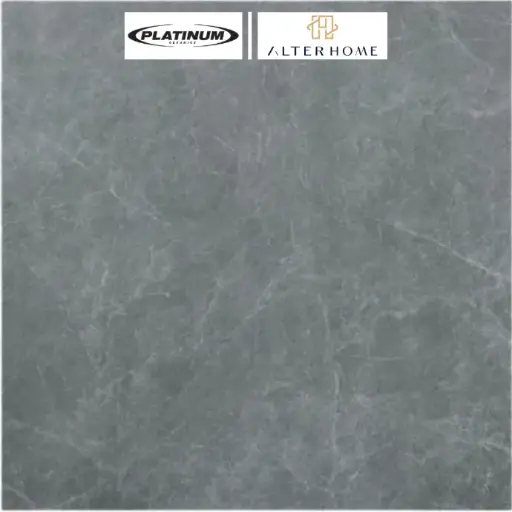 [KER-PLA-00773]  PLATINUM - STACY REC