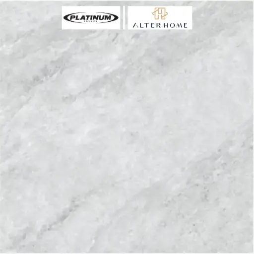 PLATINUM - LARSEN REC