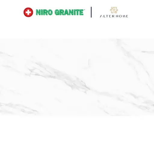 [BIG-NIRO-00006] NIRO -  CONTINUEZA GCI01 BIANCO VENATIO