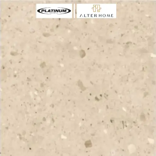 PLATINUM - JAIDEN GLOSSY