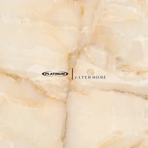 PLATINUM - SALVATORE REC
