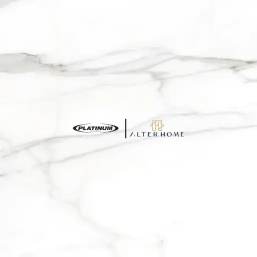 PLATINUM - SAVOY REC