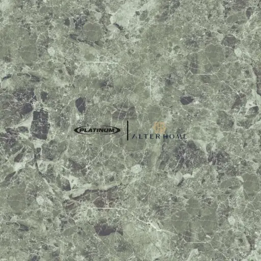 PLATINUM - STAMFORD REC