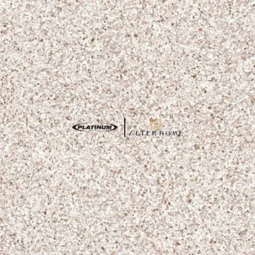 PLATINUM - SIERRA REC