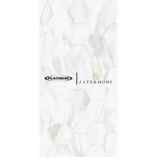 PLATINUM - TRACY EMBOSSED REC