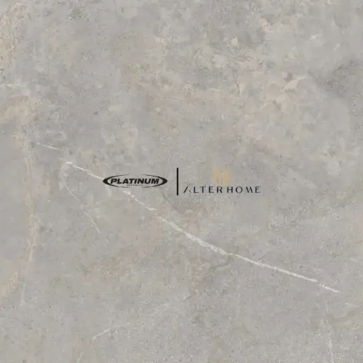 PLATINUM - SANTANDER REC