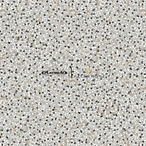 PLATINUM - SIMMONS REC